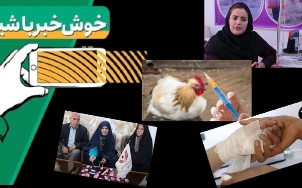 خبرخوب|خانم معلمی که ناجی زنان کولبر شد/ از شیر مرغ تا جان آدمیزاد با دانش بنیان های وطنی