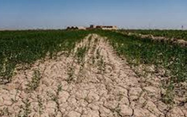 ایران به جلوگیری جدی از فرسایش خاک نیاز دارد